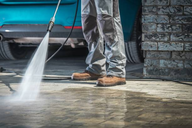 Best Gutter Cleaning and Brightening in Cold Springs, NV