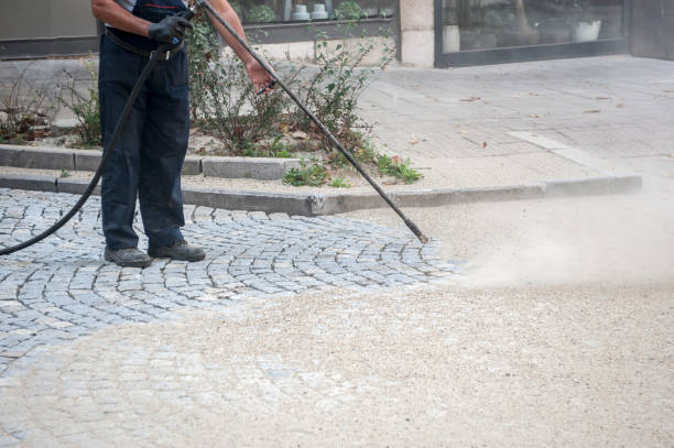 Reliable Cold Springs, NV Pressure Washing Services Solutions