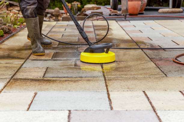 Best Roof Cleaning and Mildew Removal in Cold Springs, NV
